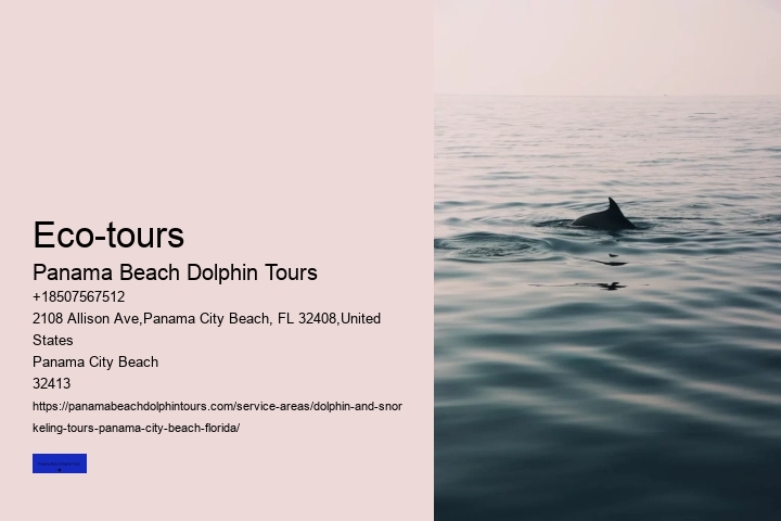 Glass Bottom Boat Tours Panama City Beach