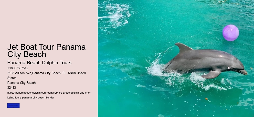Panama City Beach Shell Island Dolphin Tour