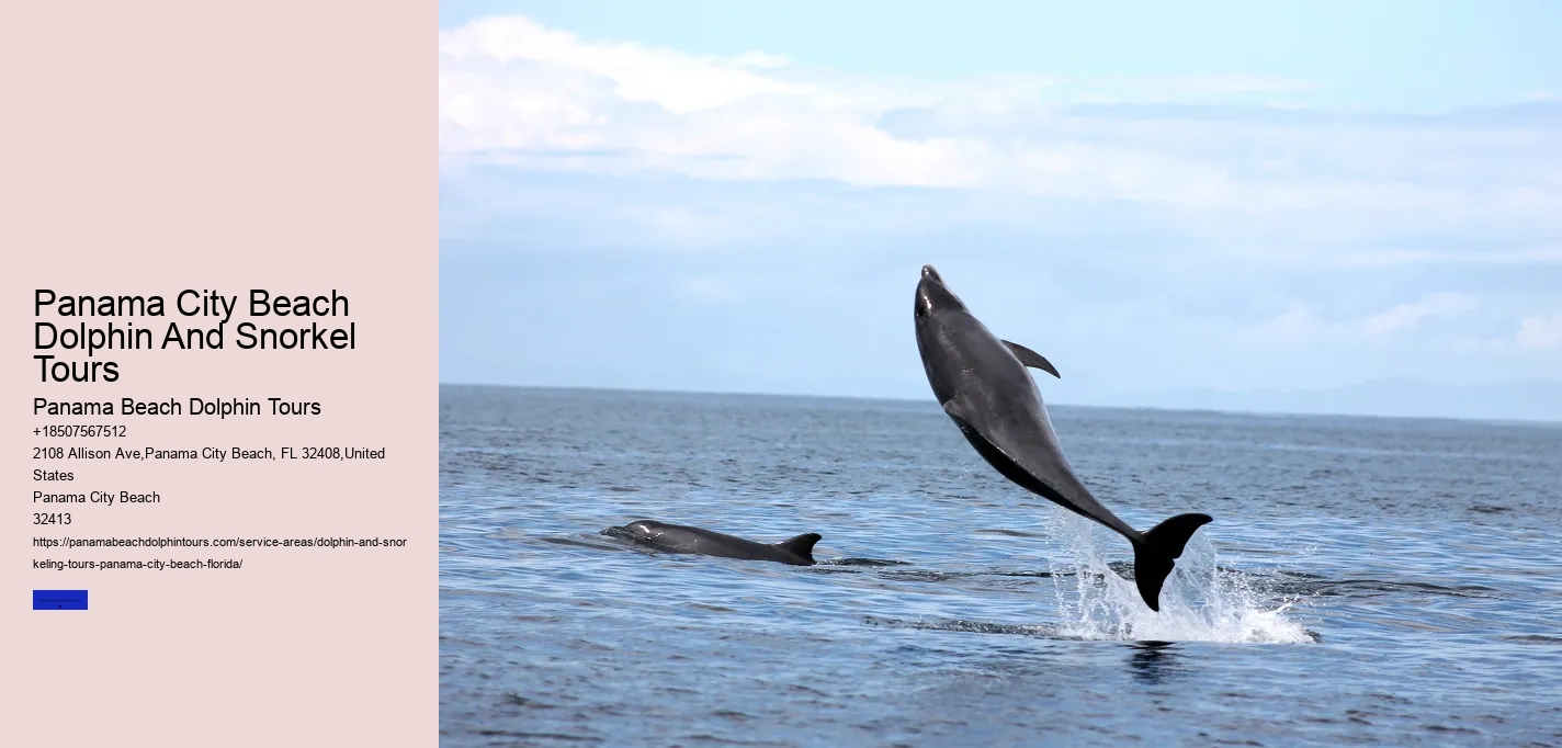 Panama City Beach Dolphin Tours Prices