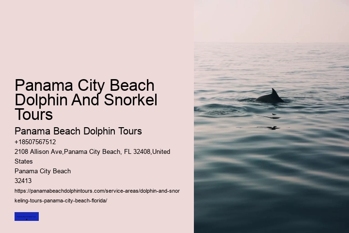 Top 20 Panama City Beach Dolphin Cruises & Tours