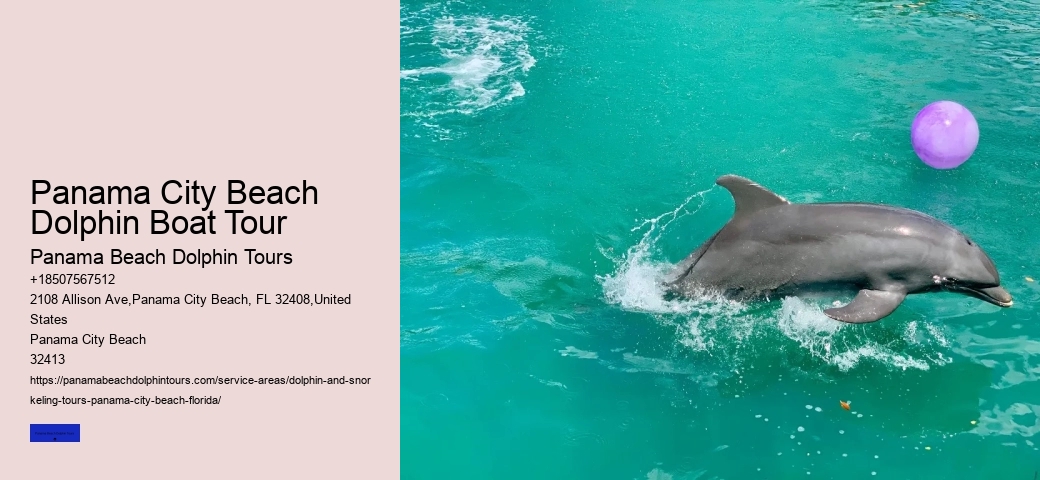 Do Dolphins Like Swimming With Humans