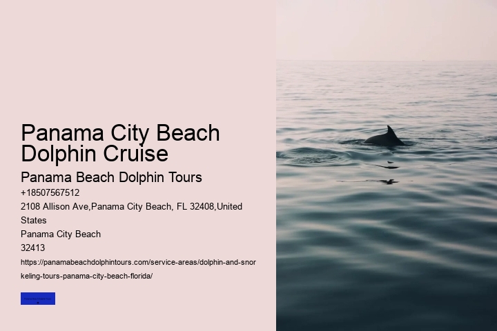 Best Places To See Wild Dolphins
