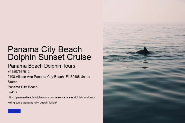 Panama City Beach Swim With Dolphins