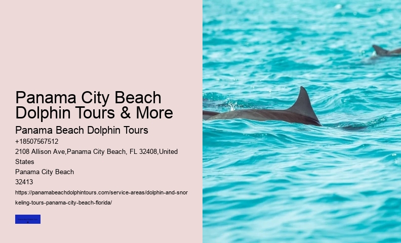 Beach Affordable