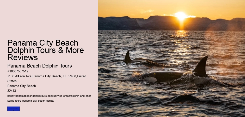 Panama City Beach Private Boat Tours