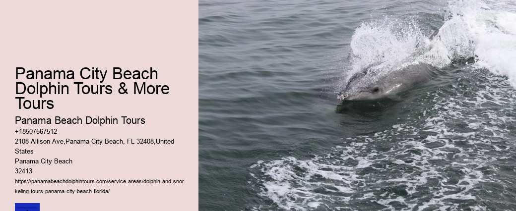 Panama City Beach Dolphin Cruise