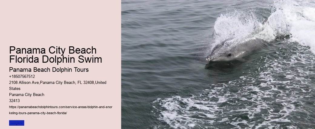 Dolphins In