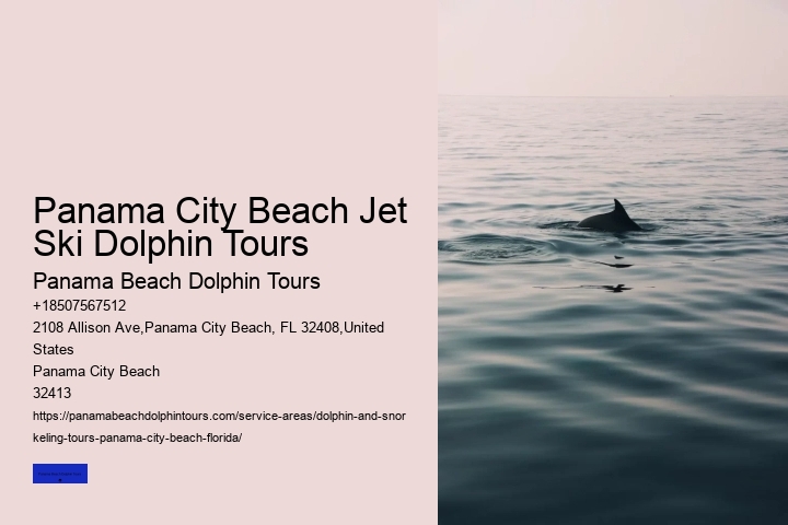 Panama City Beach Dolphin Tours & More Panama City FL