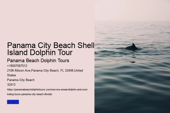 Swimming With Dolphin Tours Panama City Beach