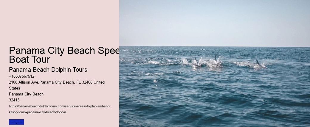 Do Dolphins Swim Close To Shore At Night