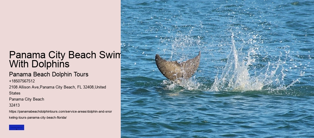 Is It Ethical To Swim With Dolphins