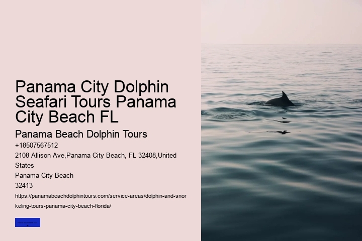 Swim With A Dolphin In Panama City Beach Florida