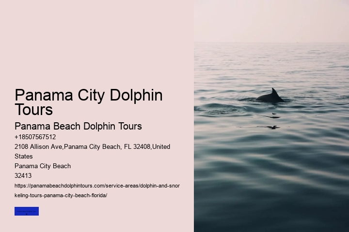 Best Place To See Dolphins In Florida