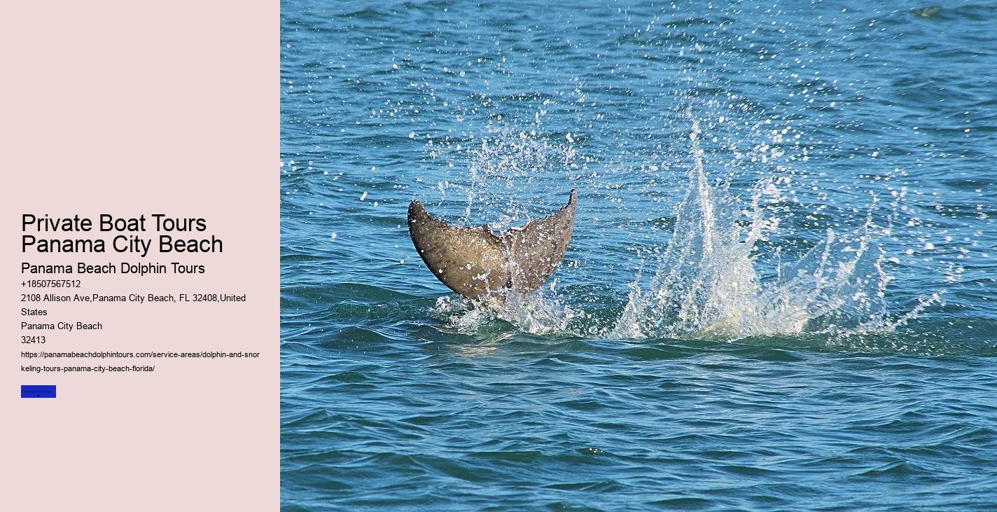 Dolphins