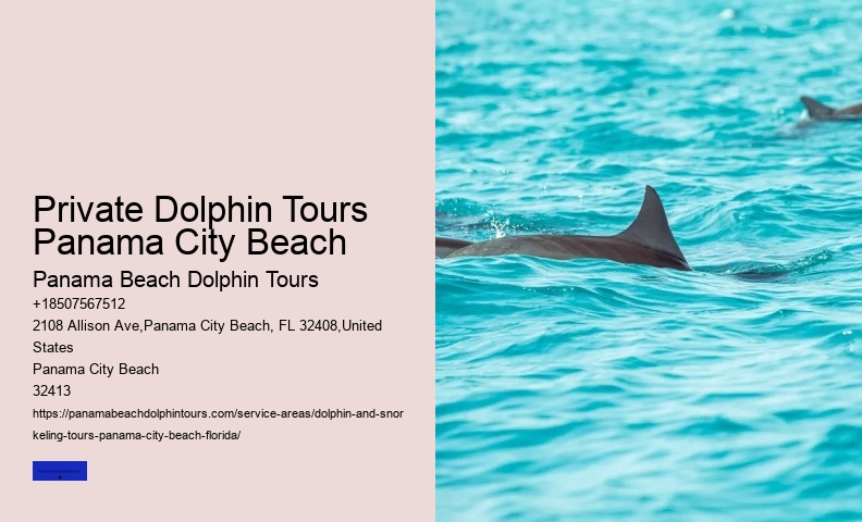 The Best Places In The World To See Wild Dolphins
