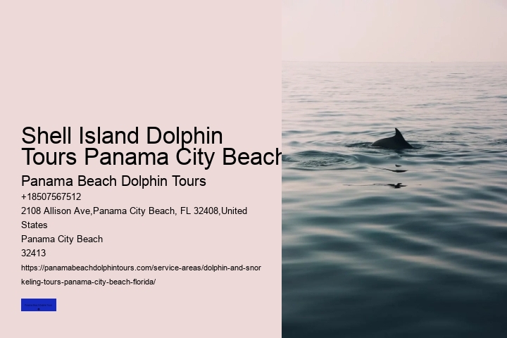 About Shell Island & Dolphins