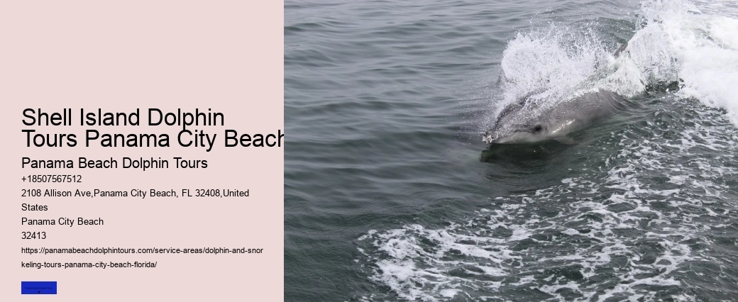 Dolphin Swim