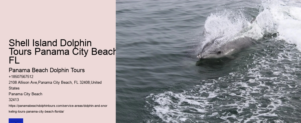 Dolphin Sightseeing Tours