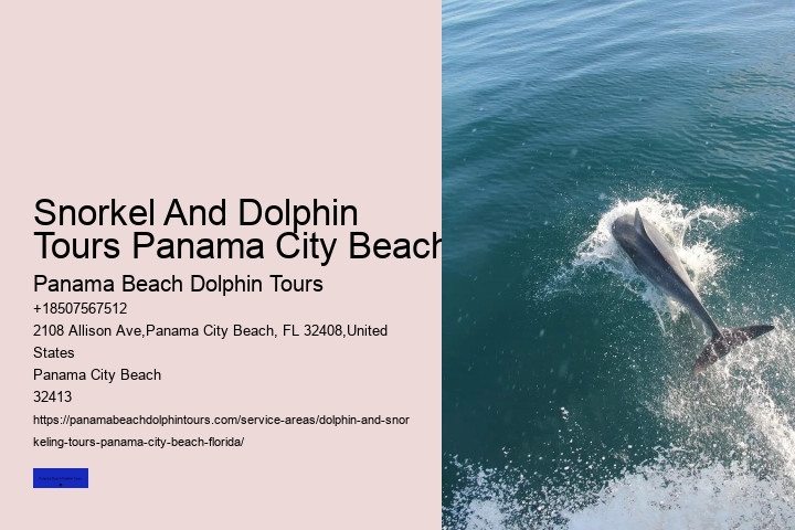 Dolphin Cruises