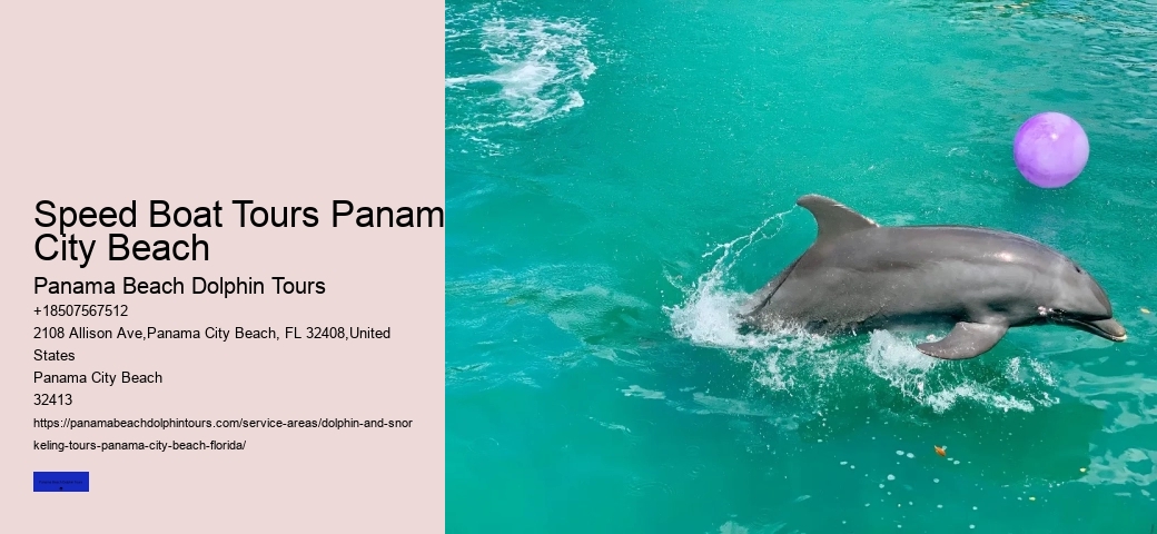 Do You See Dolphins In Panama City Beach