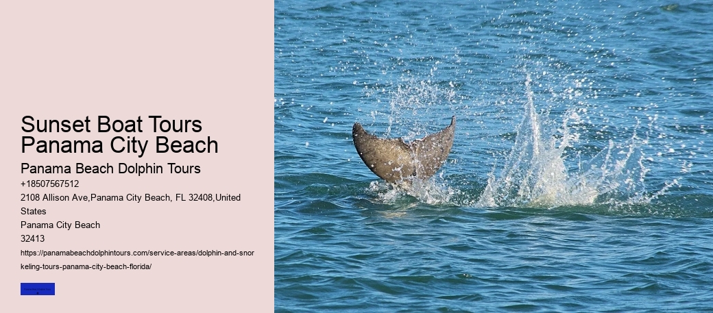 Dolphin And Snorkeling Tours In Panama City Beach