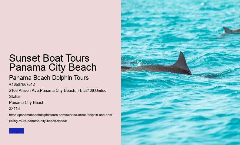 Jet Ski Dolphin Tours Panama City Beach