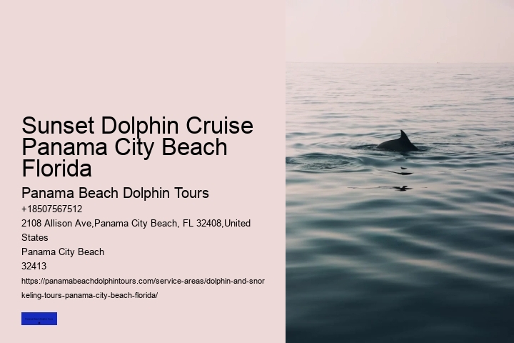 Panama City Dolphin Tours