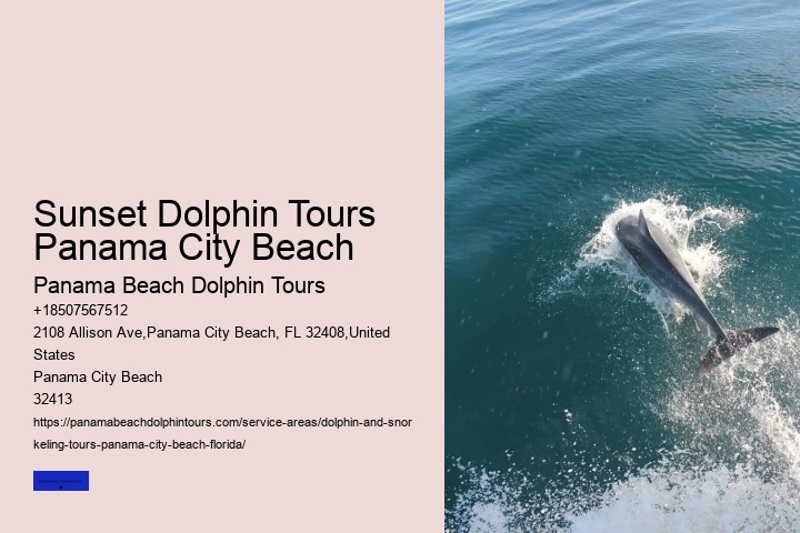 Dolphin Trips Panama City Beach