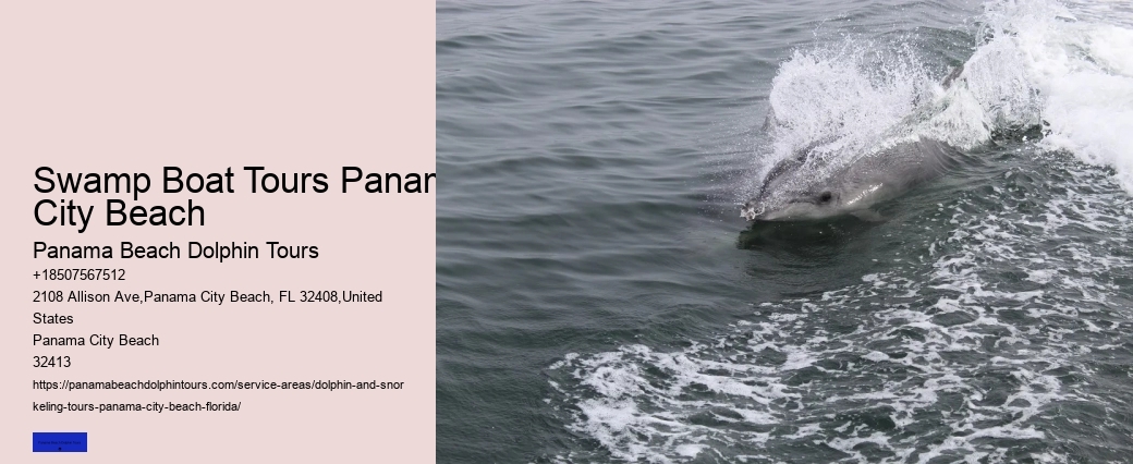 Where Is The Best Place For Dolphin Watching