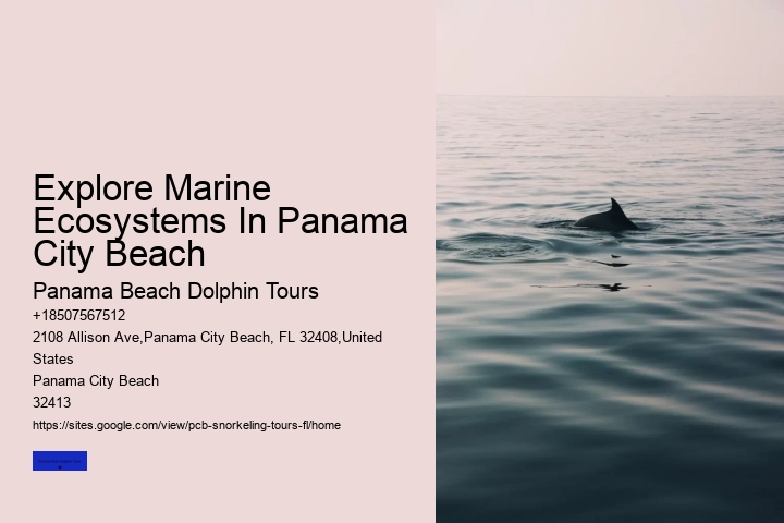 Explore Marine Ecosystems In Panama City Beach