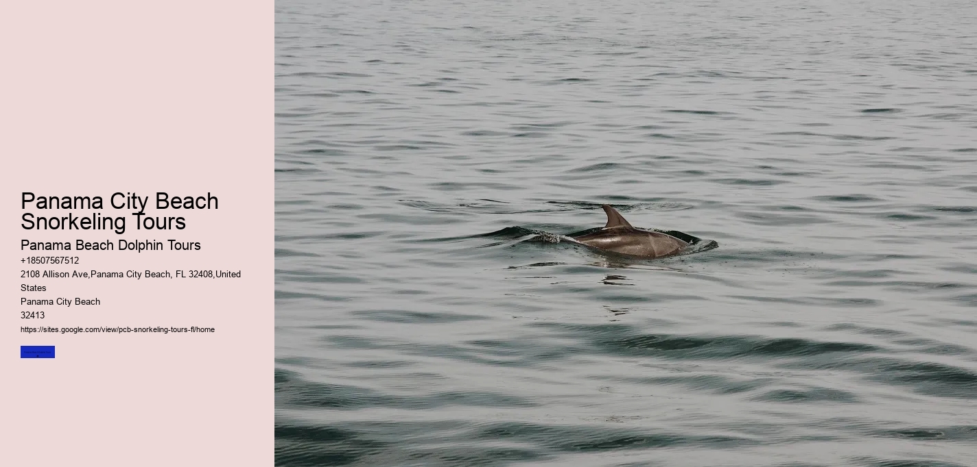 Panama City Beach Snorkeling Tours