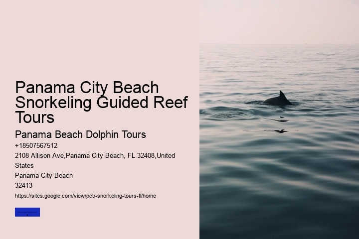 Panama City Beach Snorkeling Guided Reef Tours