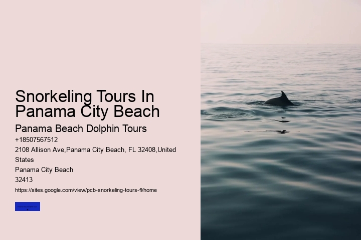 Snorkeling Tours In Panama City Beach