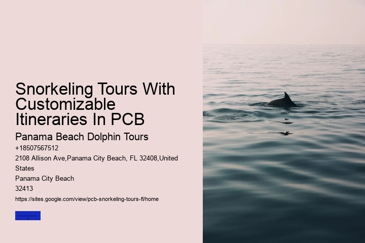 Snorkeling Tours With Customizable Itineraries In PCB