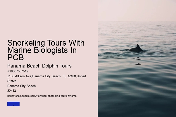 Snorkeling Tours With Marine Biologists In PCB