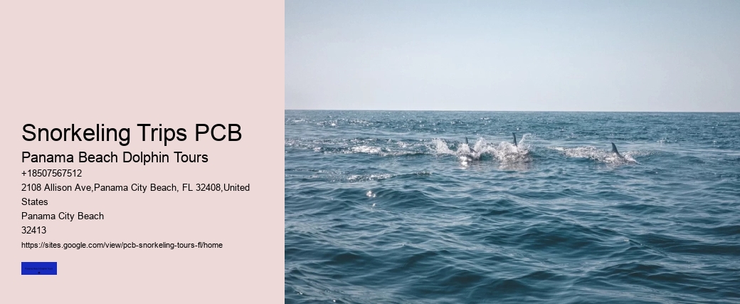 Snorkeling Trips PCB